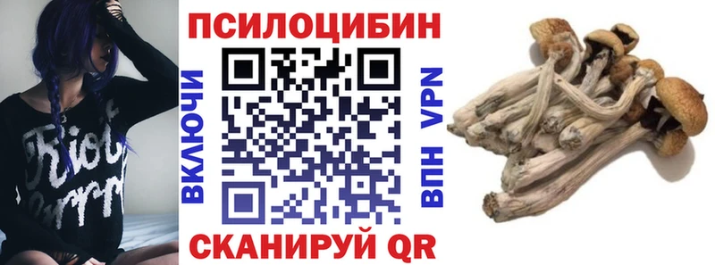 как найти закладки Якутск Псилоцибиновые грибы MAGIC MUSHROOMS